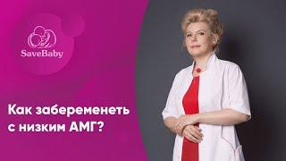 Как забеременеть с низким АМГ? Лечение бесплодия