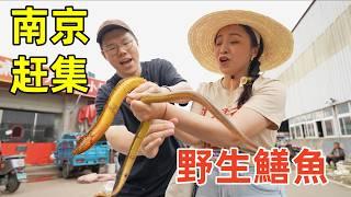 南京趕大集，100元10道菜，蛋糕豬頭肉Vs老鹵鵝板鴨哪個香？Open Market Shopping Challenge to spend 15USD of Chinese food.