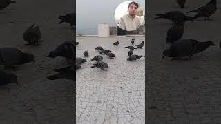 jivdaya mom priya priyam love all animals and birds #new#viral