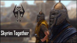 ГАЙД SKYRIM TOGETHER С МОДАМИ | СВОЙ СЕРВЕР