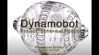 How to build a Pendulum driven Spherical Robot