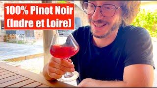 Dégustation vin - Pinot Noir - Vignoble de Cambalu-Julien et Frédéric Moreau-Dégustation à l'aveugle