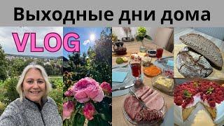 VLOGИспекла хлеб и булочки/Рыбная закуска/Завтрак/Уехали в Зигбург/Обзор апартаментов/Прогулка