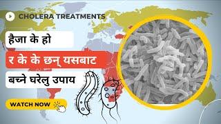 What Is Cholera and what are the symptoms and Home treatments || Haija Ko gharelu Upachar || Herbal