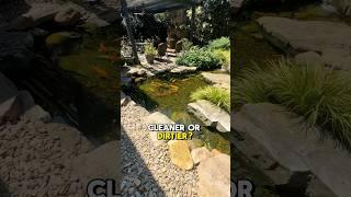 Do Koi Make Their Pond Cleaner or Dirtier?  #watergarden #koipond #ecosystempond