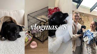 WE GOT A PUPPY prepping, shopping & bringing her home! vlogmas day 8