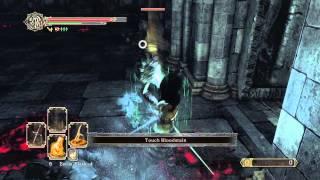 Dark Souls 2 Scholar of the First Sin - DLC Key Location - Frozen Flower