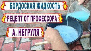  Настоящая БОРДОСКАЯ ЖИДКОСТЬ от профессора НЕГРУЛЯ. А ты тоже всю жизнь делал ее НЕПРАВИЛЬНО?