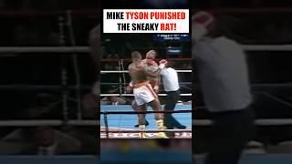 When Mike Tyson Punished Dirty Rat!