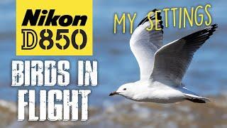 Nikon D850 | How I Photograph Birds In Flight | My Settings