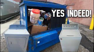 Dumpster Diving for Food and Curbside Scrap + The Critter Cam