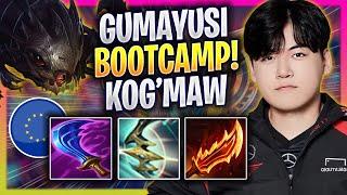 GUMAYUSI CRAZY GAME WITH KOG'MAW! - T1 Gumayusi Plays Kog'maw ADC vs Miss Fortune! | Bootcamp 2024