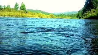 Río Quinchilca, al interior de Folilco ciudad de Los Lagos