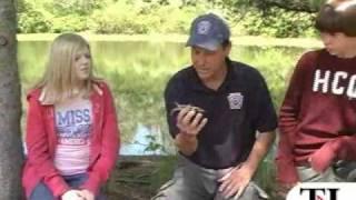 Herp series: Spotted turtle - timesleader.com