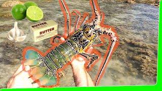 Fastest & Tastiest Tropical Lobster - Catch and Cook - Painted Crayfish EP.544