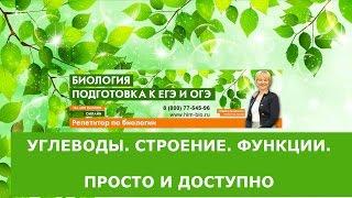 Углеводы. ЕГЭ и ОГЭ по биологии