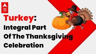 Thanksgiving 2022: What Makes Turkey An Integral Part Of The Thanksgiving Meal | ABP LIVE