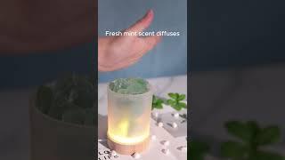 Make Your Home Smell Fresh and Natural!  #Hiqili #Peppermint #Natural #EssentialOils #Fresht #fyp