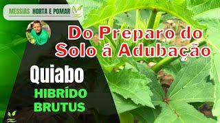 Preparação e Adubação do solo para plantio de Quiabo