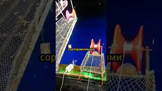 Как Китай вылавливает миллионы рыб с помощью механизированного рыболовства