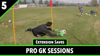 Session 5 | Goalkeeper Training | Pro GK Academy