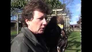 Wild with Sasha Norris. Episode 21 - Birds Of Prey