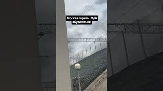 мрії збуваються