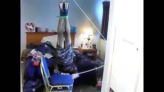 crossdresser self bondage