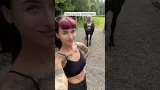 chef #horse #equestrian #equestrianjourney #horsegirl #pony #riding #horseriding #horses #horsey
