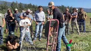 Understanding Electric Poultry Fencing - Part 2: Practical Application