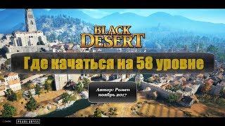 Где качаться на 58 уровне в Black Desert