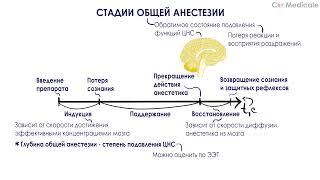 Стадии общей анестезии - Общие и местные анестетики