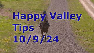 Hong Kong Horse Racing Tips 10/9/2024 - Happy Valley