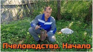 СВОЯ ПАСЕКА - с чего начать?! МОЙ ОПЫТ