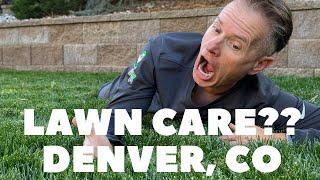 How To Choose A Lawn Care Company In Denver Colorado