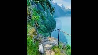 Walking through Norwegian Paradise!