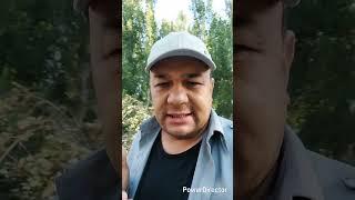 ХАЛОЛ МЕХНАТНИ РОҲАТИ БОР....