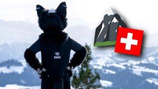 I Climbed A Swiss Mountain IN FURSUIT