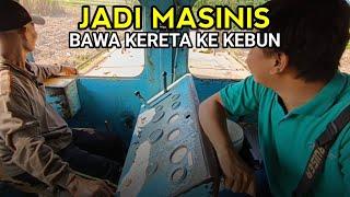 ASIKNYA JADI MASINISBAWA KERETA MASUK KE KEBUN TEBU