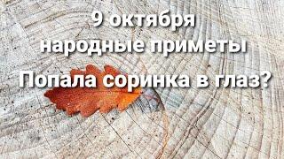 9 октября приметы. Знаки дня.