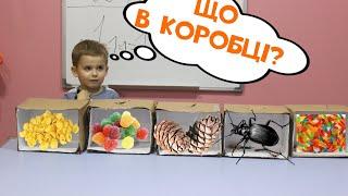 Що в коробці?