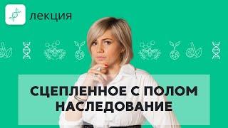 ГЕНЕТИКА! Сцепленное с полом НАСЛЕДОВАНИЕ | Подготовка к ЕГЭ 2022 по БИОЛОГИИ