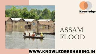 Assam is Drowning- Flood affected 40 lakhs people with Animals | knowledgesharing