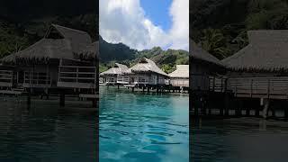 The Intercontinental was one of the best resort in #moorea Sadly it closed in 2020 #shorts #vlog