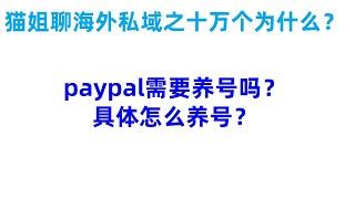 海外营销十万个为什么：paypal需要养号吗？具体怎么养号？