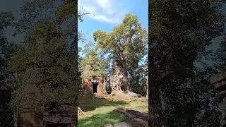 Koh Ker temple in Cambodia  #guides #siemreap