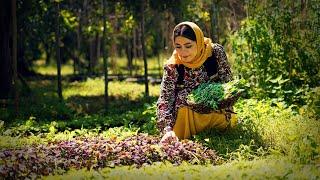 Cooking Ghormeh Sabzi, the Most Popular Iranian Stew | Rural Cuisine