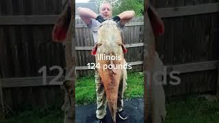 Every state record catfish part 4 #fishing