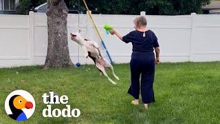 Grandma Didn't Like Pit Bulls Until She Fell In Love With One | The Dodo