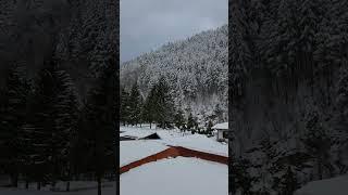 Winter relax snow 4K Ultra HD Samsung Galaxy Note 20 Ultra